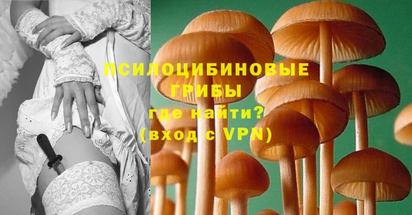 каннабис Арсеньев