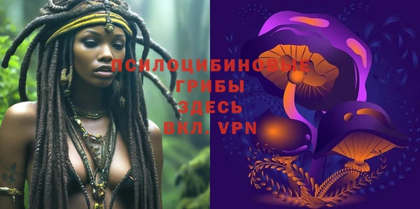 каннабис Арсеньев