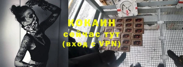 твердый Аркадак